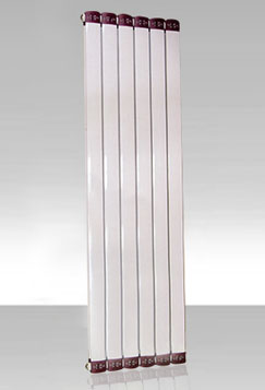 RS-1000������